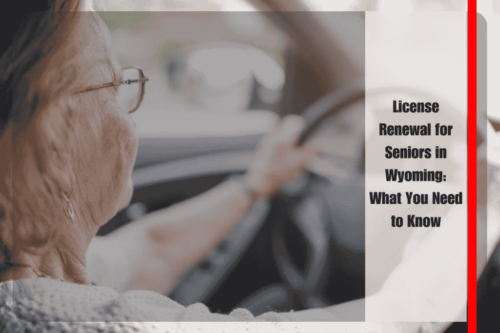 License Renewal for Seniors in Wyoming What You Need to Know