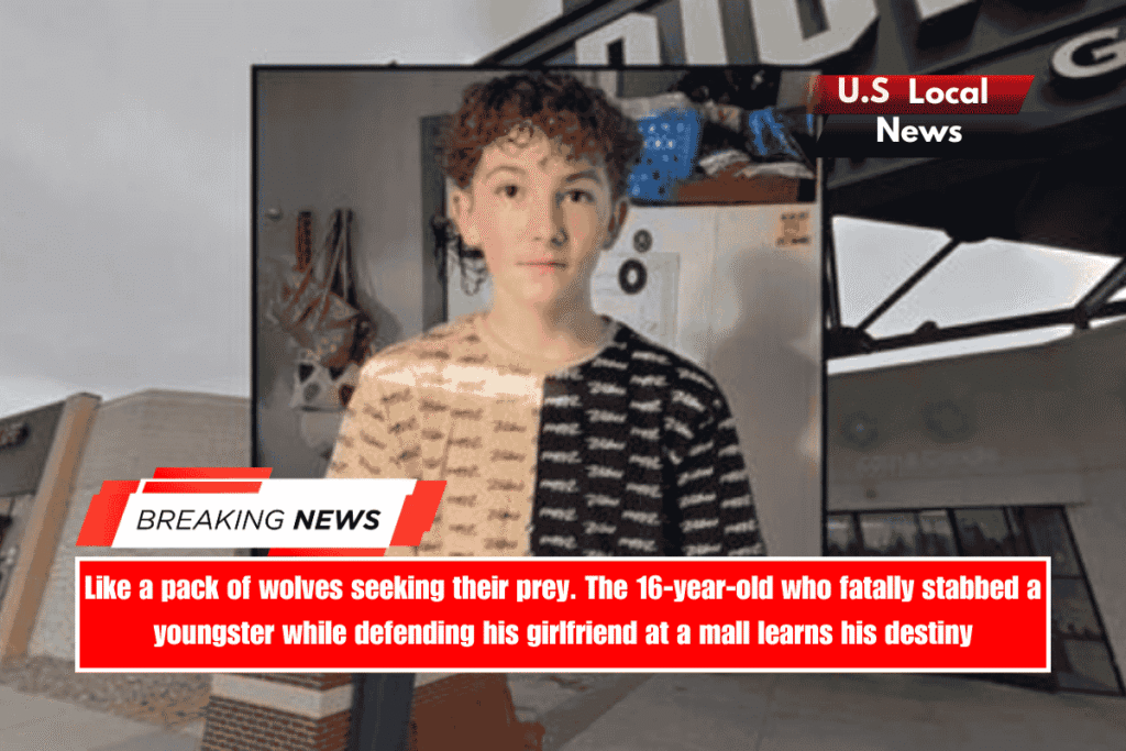 Like a pack of wolves seeking their prey. The 16-year-old who fatally stabbed a youngster while defending his girlfriend at a mall learns his destiny