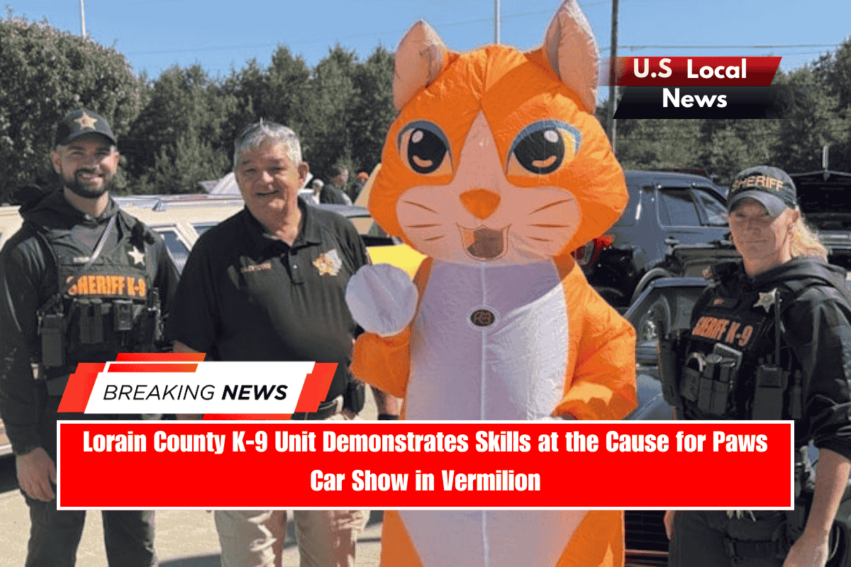 Lorain County K-9 Unit Demonstrates Skills at the Cause for Paws Car Show in Vermilion