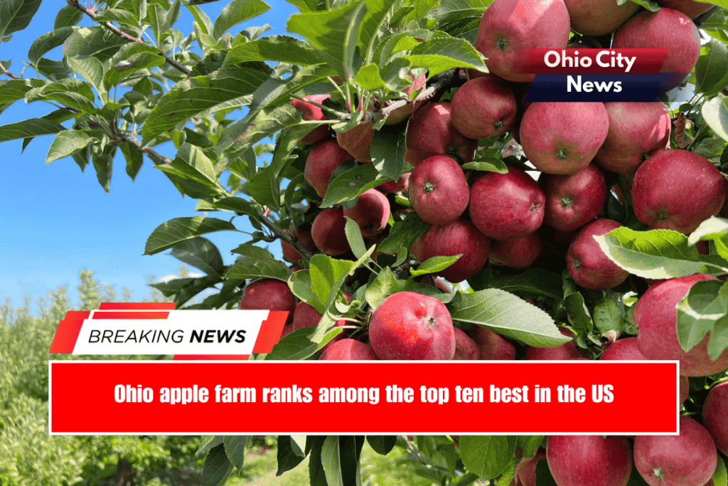 Ohio apple farm ranks among the top ten best in the US