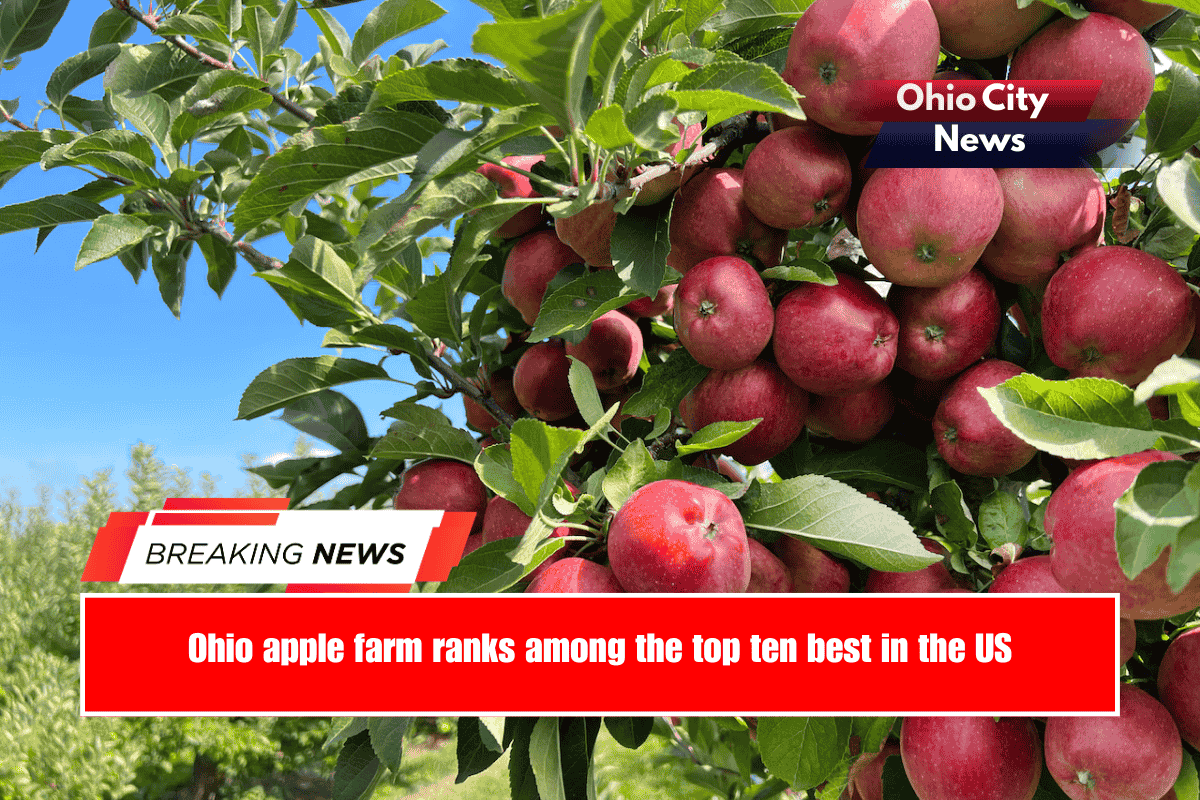 Ohio apple farm ranks among the top ten best in the US