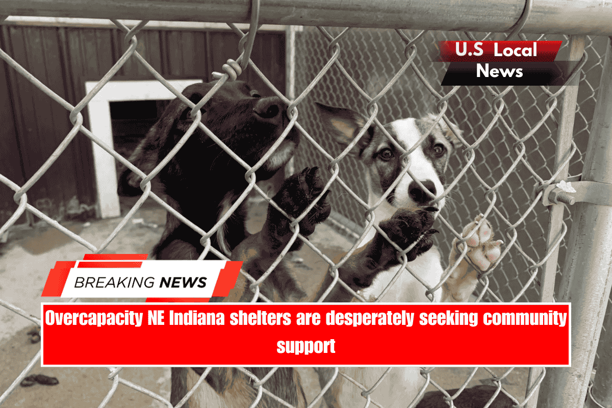 Overcapacity NE Indiana shelters are desperately seeking community support