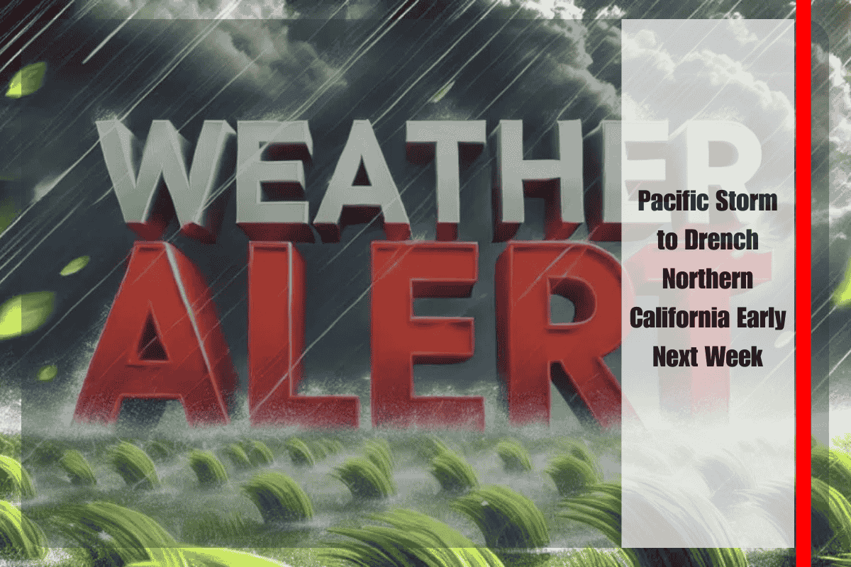 Pacific Storm to Drench Northern California Early Next Week