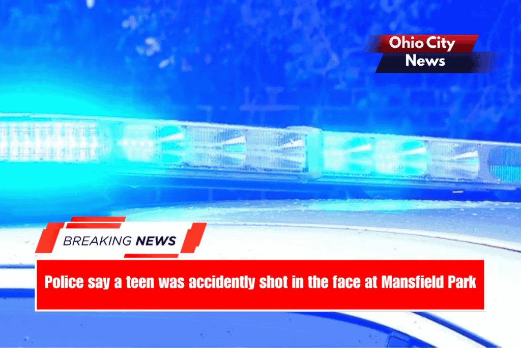 Police say a teen was accidently shot in the face at Mansfield Park