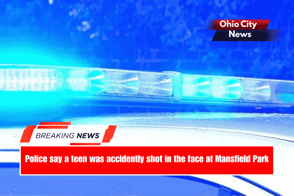 Police say a teen was accidently shot in the face at Mansfield Park