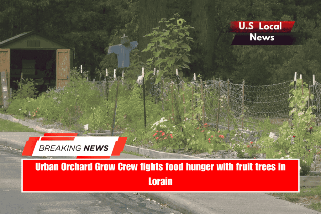 Urban Orchard Grow Crew fights food hunger with fruit trees in Lorain